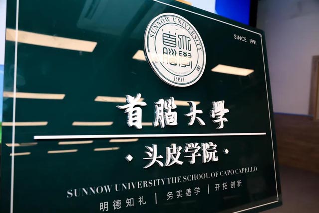 首腦大學