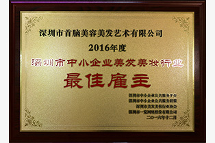 2016深圳市中小企業美發美妝行業最佳雇主