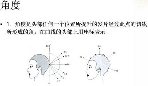 2023年初學者剪發基本手法